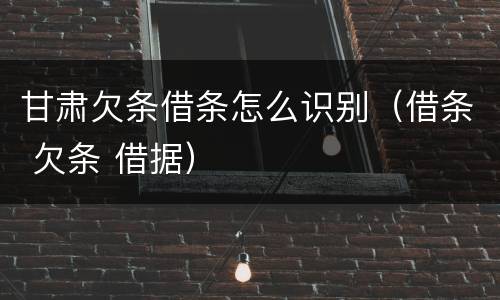 甘肃欠条借条怎么识别（借条 欠条 借据）
