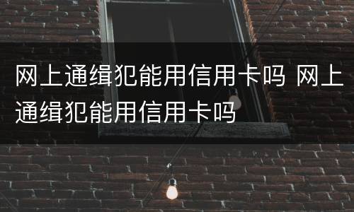 网上通缉犯能用信用卡吗 网上通缉犯能用信用卡吗