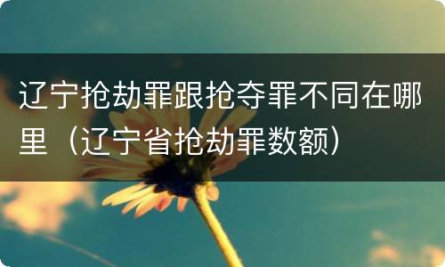 辽宁抢劫罪跟抢夺罪不同在哪里（辽宁省抢劫罪数额）