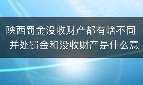 陕西罚金没收财产都有啥不同 并处罚金和没收财产是什么意思