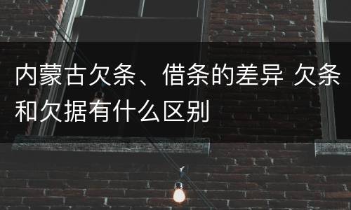 内蒙古欠条、借条的差异 欠条和欠据有什么区别