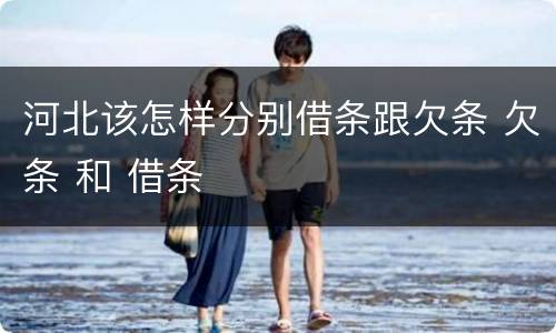 河北该怎样分别借条跟欠条 欠条 和 借条