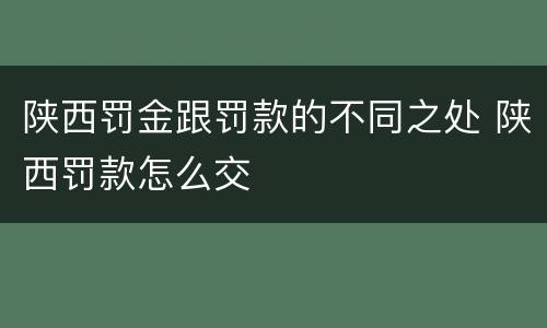 陕西罚金跟罚款的不同之处 陕西罚款怎么交