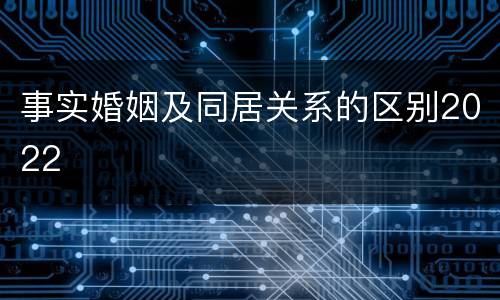 事实婚姻及同居关系的区别2022