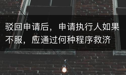 驳回申请后，申请执行人如果不服，应通过何种程序救济