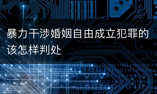 暴力干涉婚姻自由成立犯罪的该怎样判处