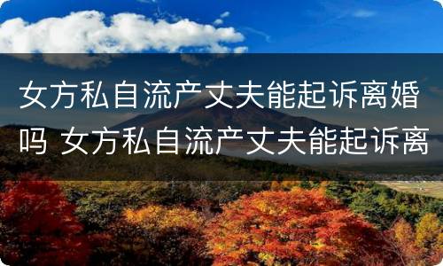 女方私自流产丈夫能起诉离婚吗 女方私自流产丈夫能起诉离婚吗
