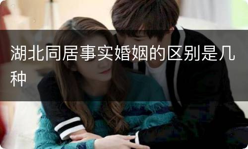 湖北同居事实婚姻的区别是几种