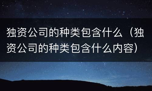 独资公司的种类包含什么（独资公司的种类包含什么内容）