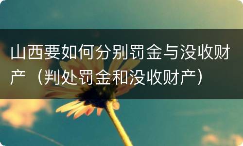 山西要如何分别罚金与没收财产（判处罚金和没收财产）