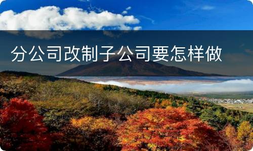 分公司改制子公司要怎样做