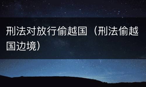 刑法对放行偷越国（刑法偷越国边境）