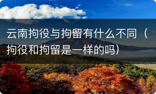 云南拘役与拘留有什么不同（拘役和拘留是一样的吗）