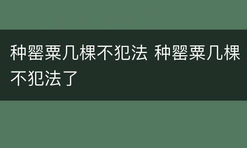 种罂粟几棵不犯法 种罂粟几棵不犯法了