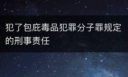 犯了包庇毒品犯罪分子罪规定的刑事责任