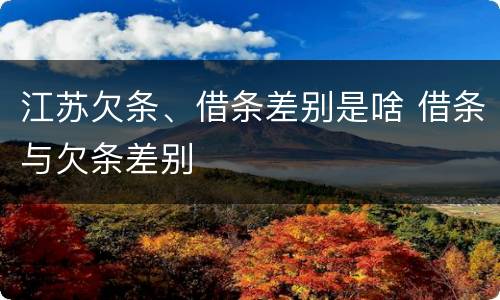江苏欠条、借条差别是啥 借条与欠条差别
