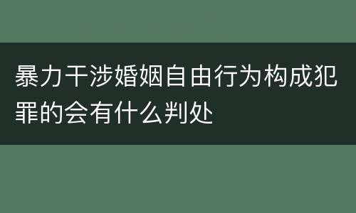 暴力干涉婚姻自由行为构成犯罪的会有什么判处