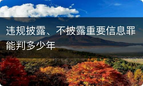 违规披露、不披露重要信息罪能判多少年
