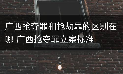 广西抢夺罪和抢劫罪的区别在哪 广西抢夺罪立案标准