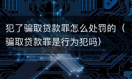 犯了骗取贷款罪怎么处罚的（骗取贷款罪是行为犯吗）