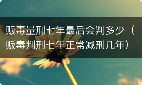 贩毒量刑七年最后会判多少（贩毒判刑七年正常减刑几年）