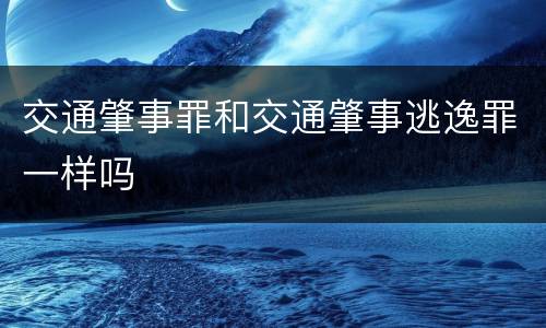 交通肇事罪和交通肇事逃逸罪一样吗