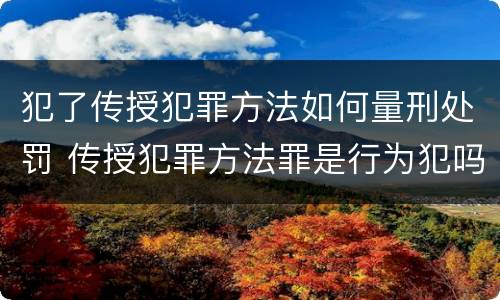 犯了传授犯罪方法如何量刑处罚 传授犯罪方法罪是行为犯吗