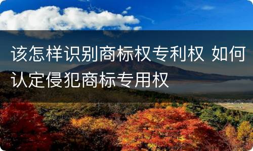 该怎样识别商标权专利权 如何认定侵犯商标专用权