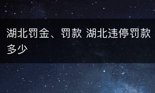 湖北罚金、罚款 湖北违停罚款多少