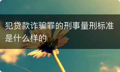 犯贷款诈骗罪的刑事量刑标准是什么样的
