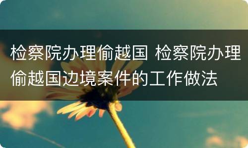 检察院办理偷越国 检察院办理偷越国边境案件的工作做法