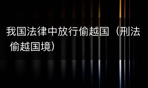 我国法律中放行偷越国（刑法 偷越国境）