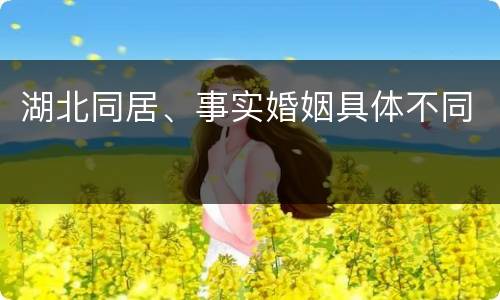 湖北同居、事实婚姻具体不同
