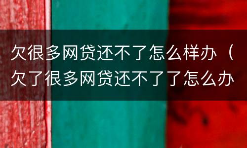 欠很多网贷还不了怎么样办（欠了很多网贷还不了了怎么办）