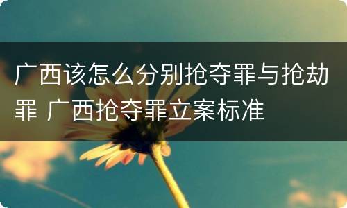 广西该怎么分别抢夺罪与抢劫罪 广西抢夺罪立案标准