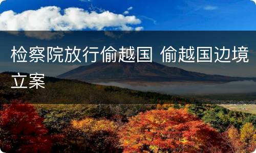 检察院放行偷越国 偷越国边境立案