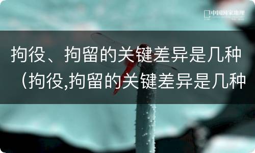 拘役、拘留的关键差异是几种（拘役,拘留的关键差异是几种情形）
