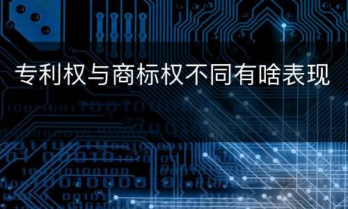 专利权与商标权不同有啥表现
