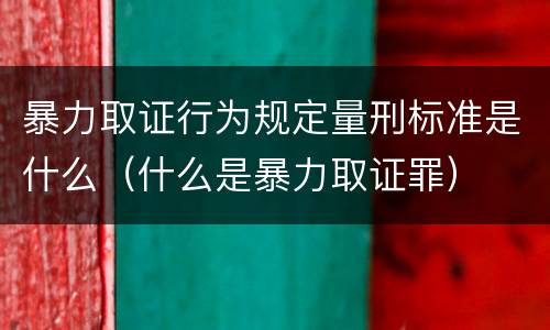 暴力取证行为规定量刑标准是什么（什么是暴力取证罪）