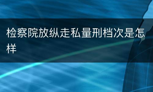 检察院放纵走私量刑档次是怎样