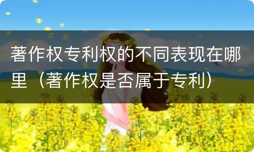 著作权专利权的不同表现在哪里（著作权是否属于专利）