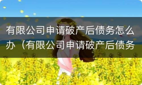 有限公司申请破产后债务怎么办（有限公司申请破产后债务怎么办呢）