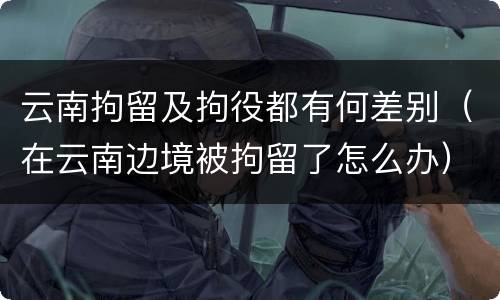 云南拘留及拘役都有何差别（在云南边境被拘留了怎么办）