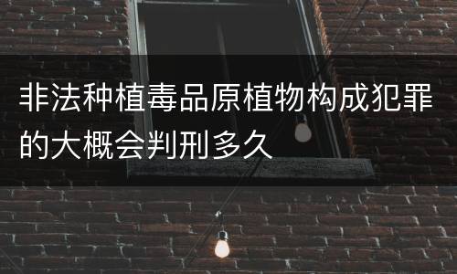 非法种植毒品原植物构成犯罪的大概会判刑多久