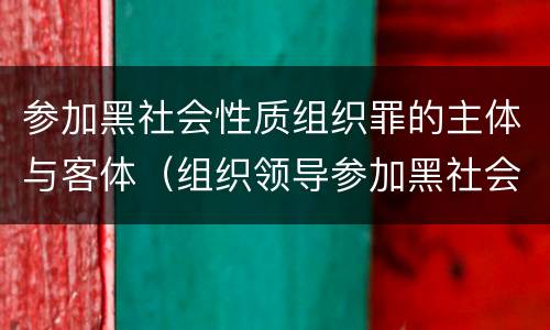 参加黑社会性质组织罪的主体与客体（组织领导参加黑社会性质组织罪的客体）