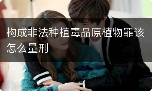 构成非法种植毒品原植物罪该怎么量刑