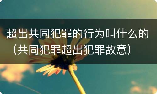 超出共同犯罪的行为叫什么的（共同犯罪超出犯罪故意）