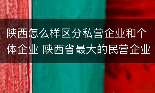 陕西怎么样区分私营企业和个体企业 陕西省最大的民营企业是什么公司