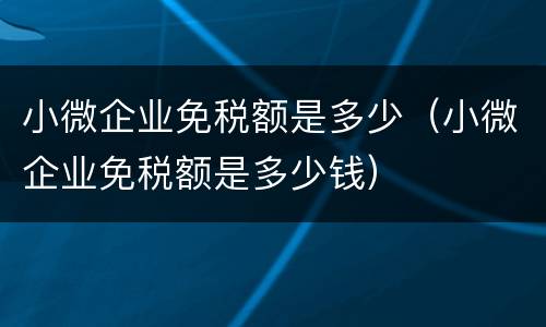 小微企业免税额是多少（小微企业免税额是多少钱）
