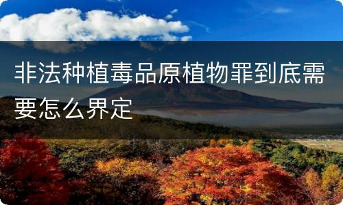 非法种植毒品原植物罪到底需要怎么界定